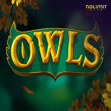 Owls - AGENT188