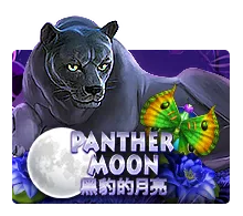 Panther Moon - AGENT188